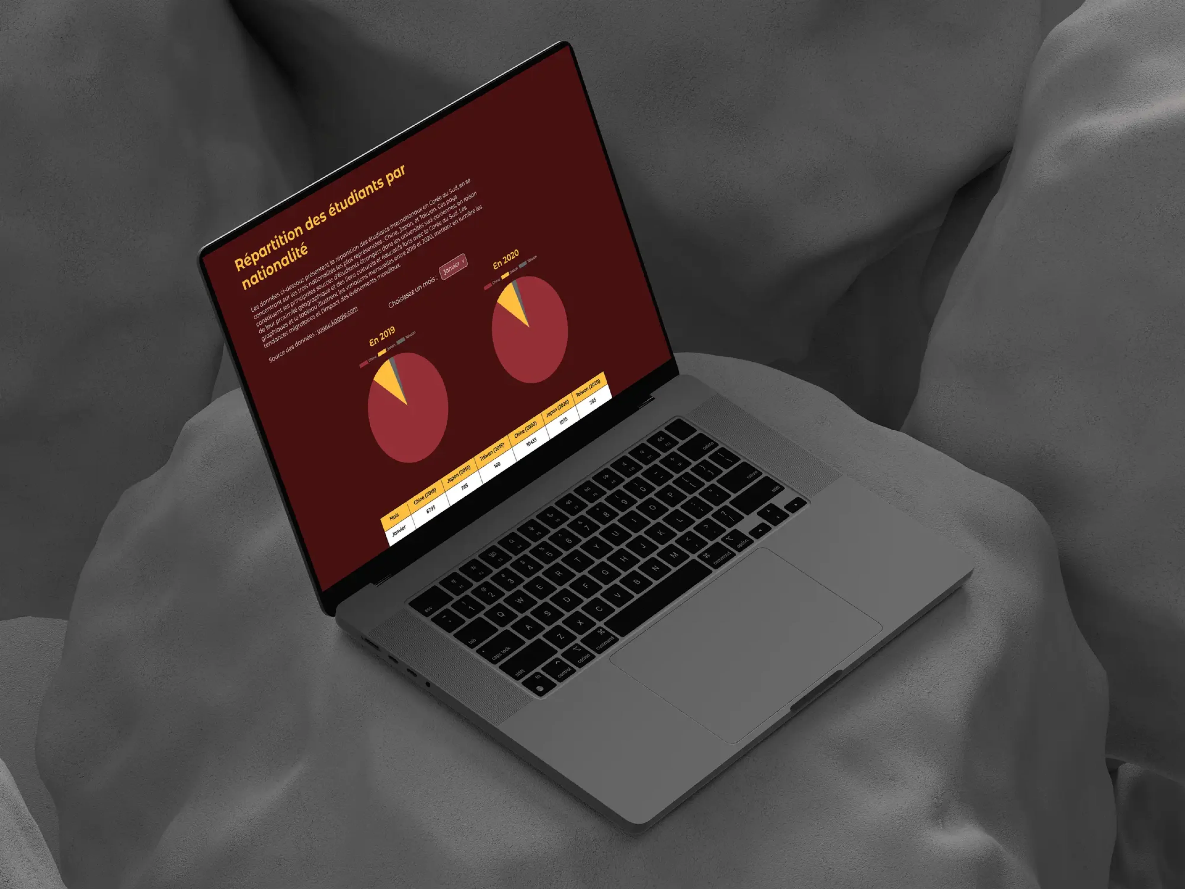 datavizmockup1 datavizmockup1